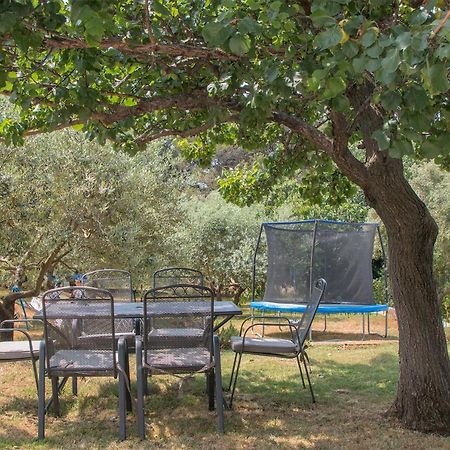 Apartman Olea Пула Екстер'єр фото